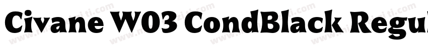 Civane W03 CondBlack Regular字体转换